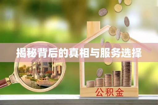楠梓揭秘背后的真相与服务选择