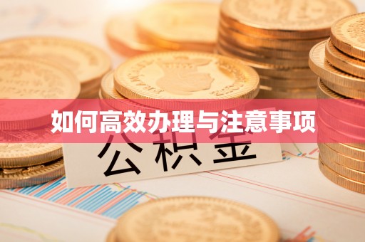 楠梓如何高效办理与注意事项