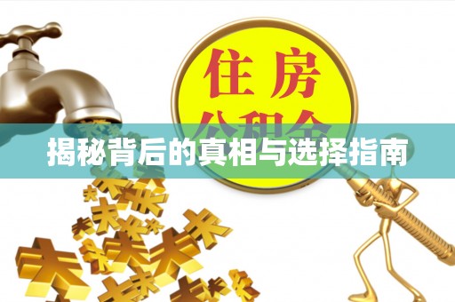 楠梓揭秘背后的真相与选择指南