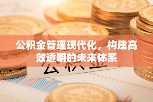 楠梓公积金管理现代化，构建高效透明的未来体系