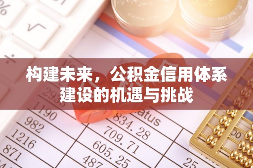 楠梓构建未来，公积金信用体系建设的机遇与挑战