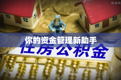 楠梓你的资金管理新助手