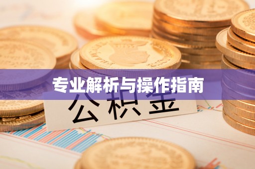 楠梓专业解析与操作指南
