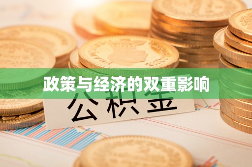 楠梓政策与经济的双重影响