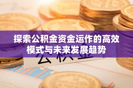 楠梓探索公积金资金运作的高效模式与未来发展趋势
