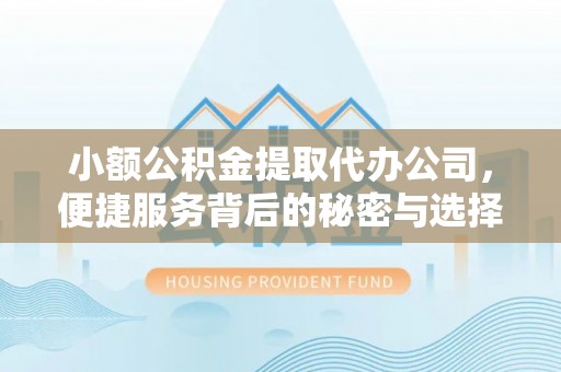 楠梓小额公积金提取代办公司，便捷服务背后的秘密与选择指南