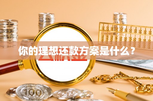 楠梓你的理想还款方案是什么？