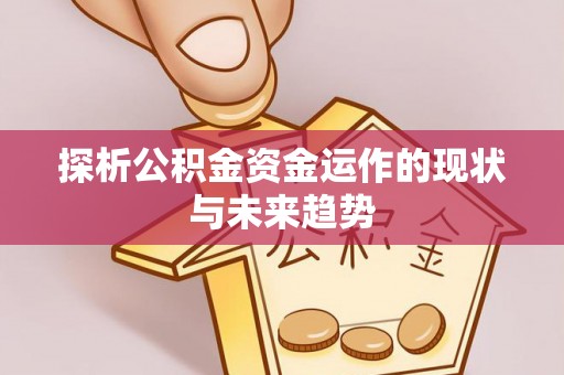 楠梓探析公积金资金运作的现状与未来趋势